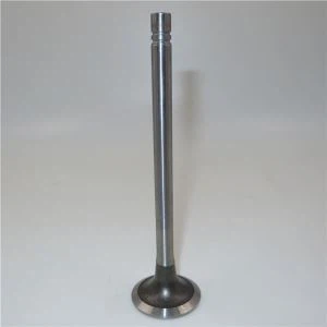 Cummins NT855 Motor Ventil 135957 135957 3000926 Auspuff Einlassventil 145701